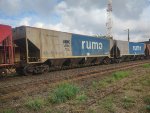 RUMO HPT-032655-1